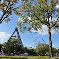 画像434