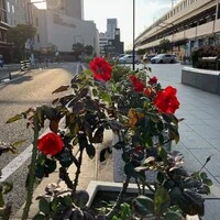 画像446