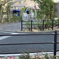 画像448