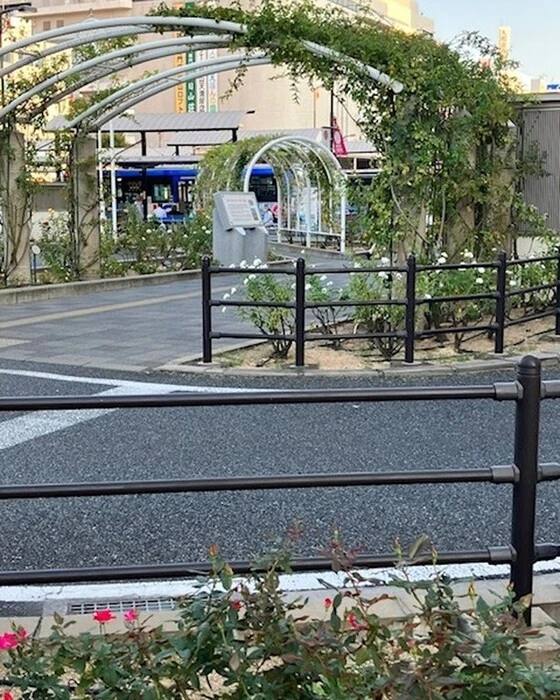 画像448