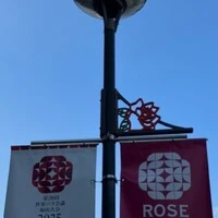 画像449