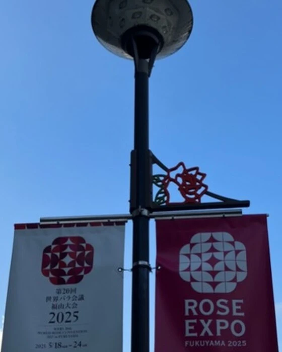 画像449