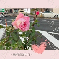 画像494