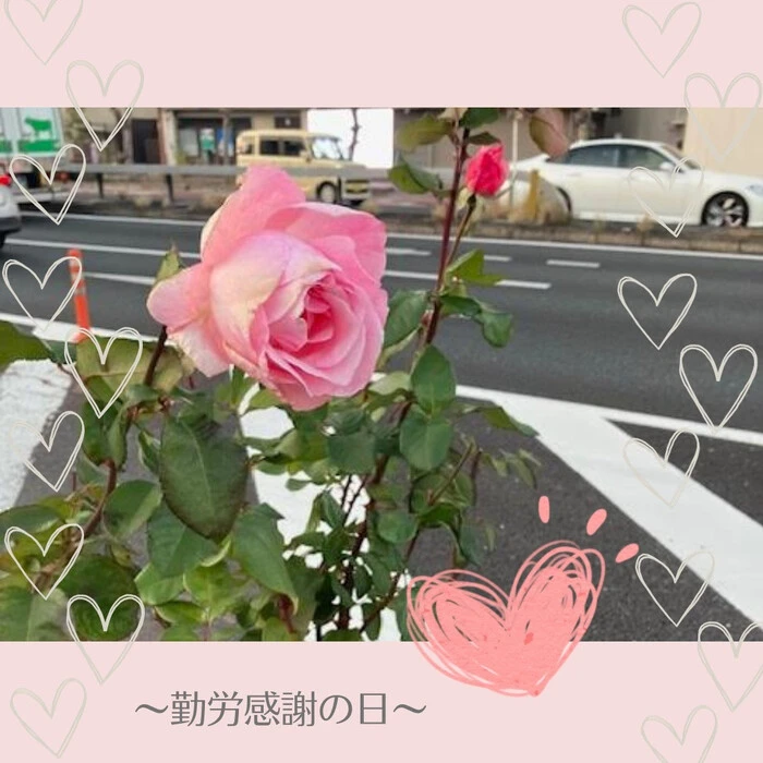 画像494