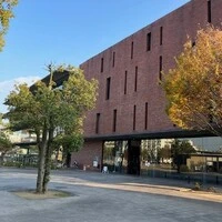 画像496