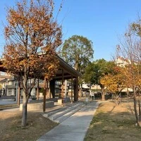 画像498