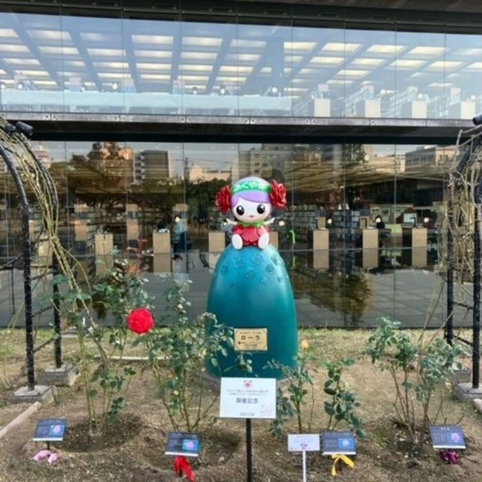 画像501