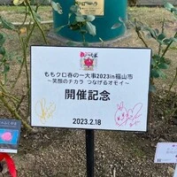 画像502