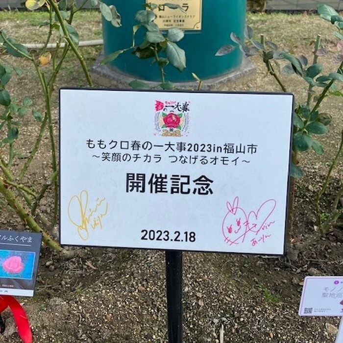 画像502