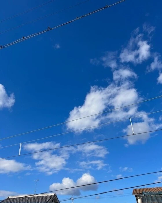 画像508