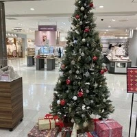 画像509