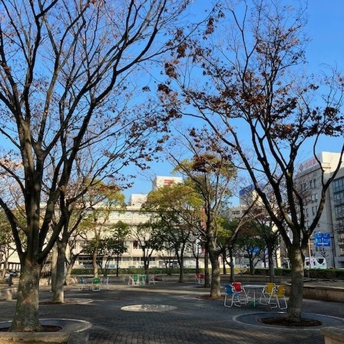画像524