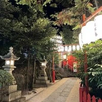 画像537