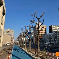 画像579