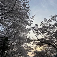 画像658