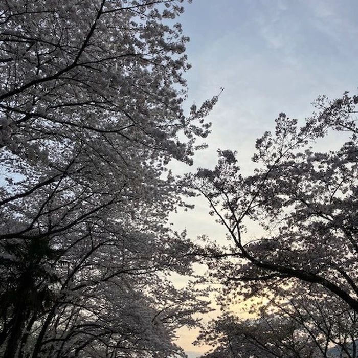 画像658