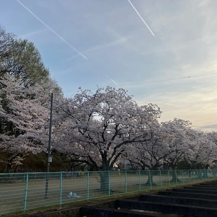 画像659