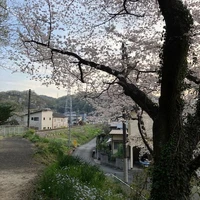画像661