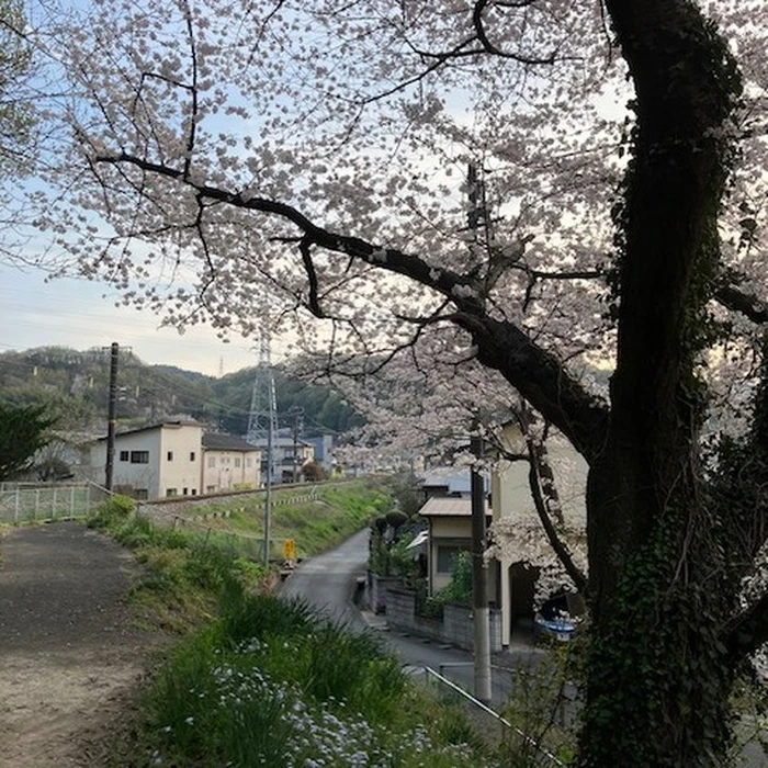 画像661