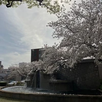 画像671