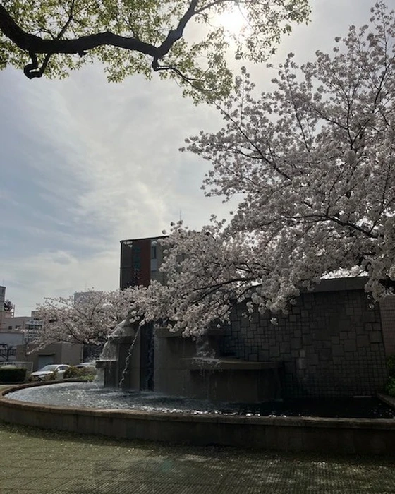 画像671
