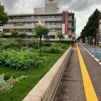 画像838